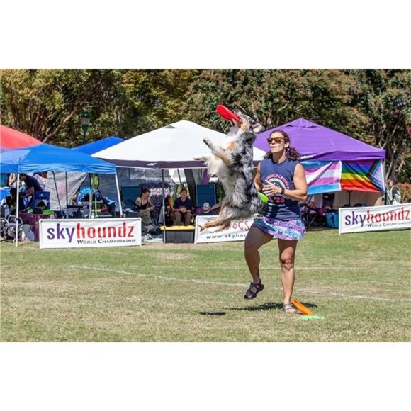 Flying Puncture-Resistant Spot Competition Dog Disc, Mango, 8.75-Inch, All Breed - Picture 3 of 7